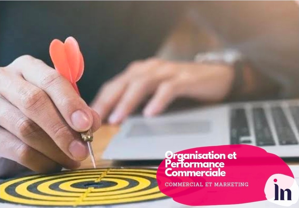 Organisation et performance commerciale